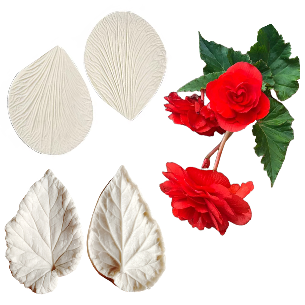 Begonia Tuberous Veiner Silico - đánh giá và giá Eco Art Craft